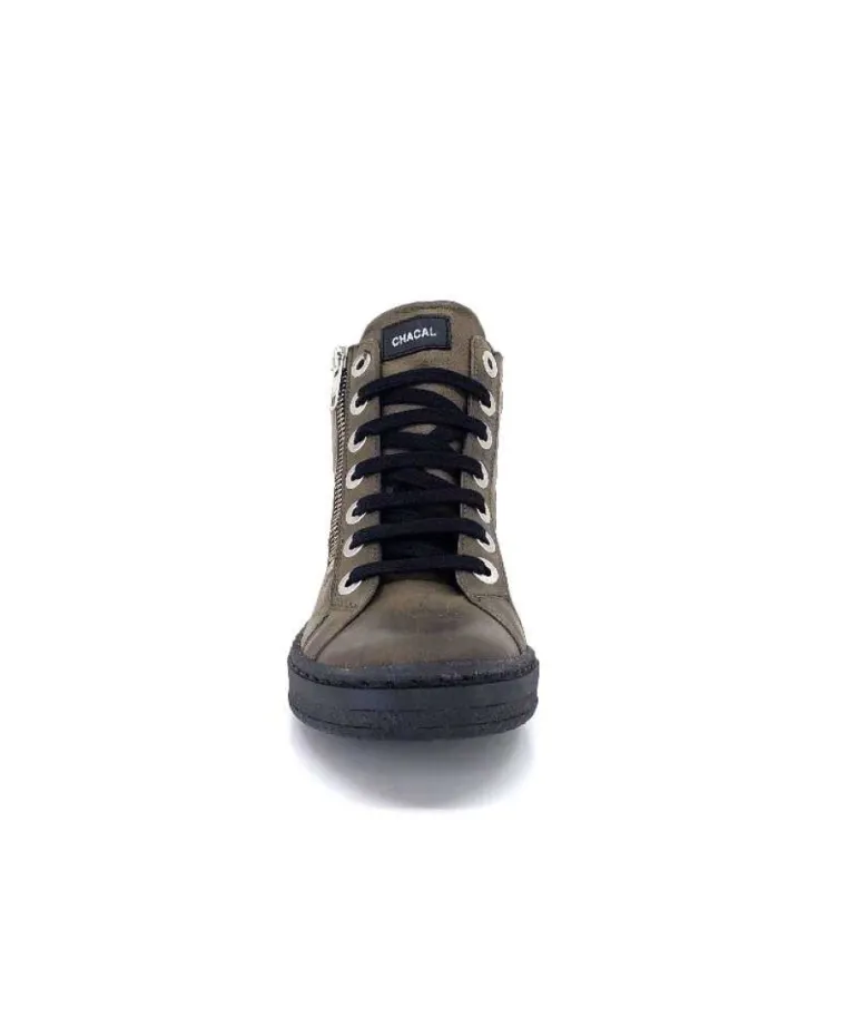 Chacal 6147 Cuir Kaki