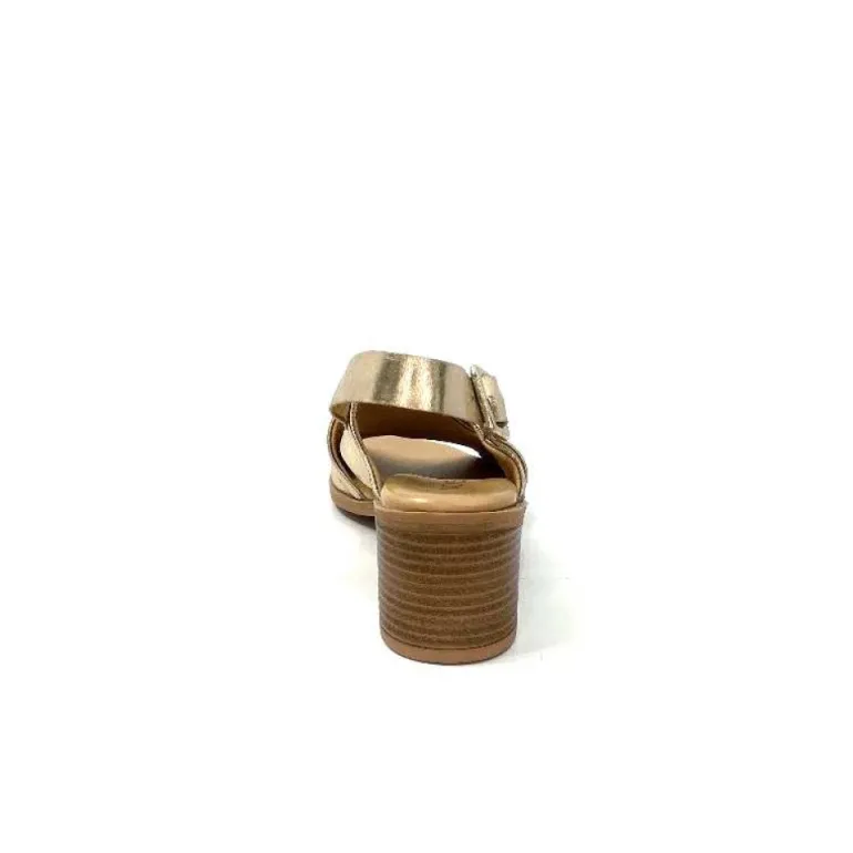 Ivoire 500.3018 Cuir Or