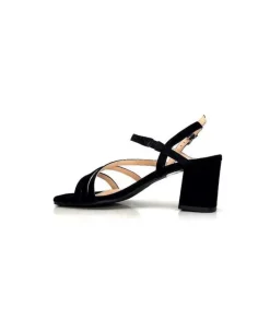 Ivoire 47146 Daim Noir