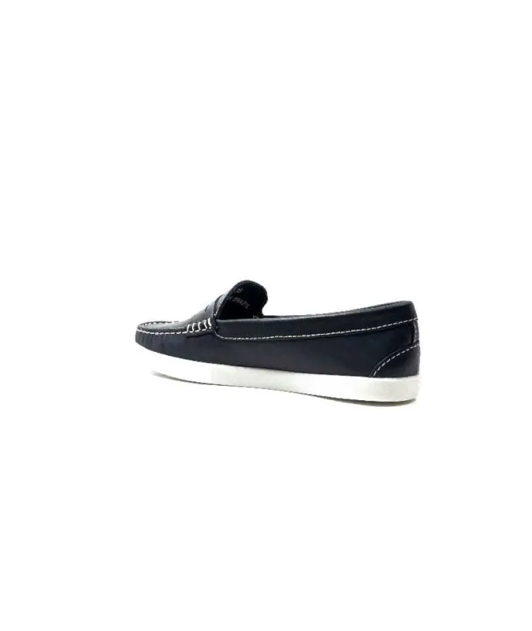 Ivoire 3456 Havana Cuir Bleu