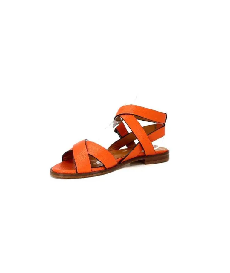 Ivoire 9823 Lv10 Orange