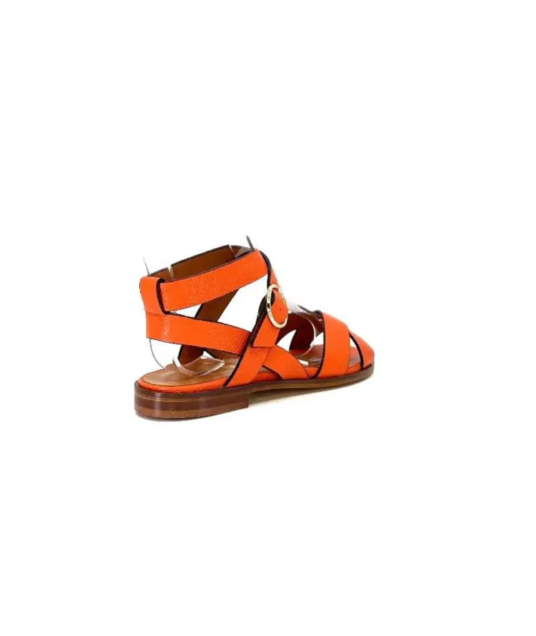 Ivoire 9823 Lv10 Orange