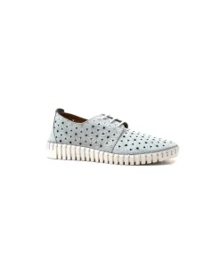 Ivoire Hy 2023.1 Cuir Bleu Ciel