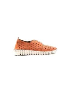 Ivoire Hy 2023.1 Cuir Corail