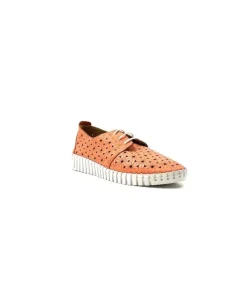 Ivoire Hy 2023.1 Cuir Corail