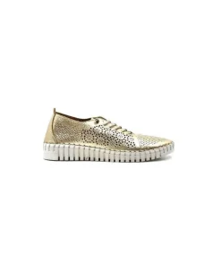 Ivoire Hy 2020 Cuir Or