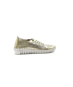 Ivoire Hy 2020 Cuir Or