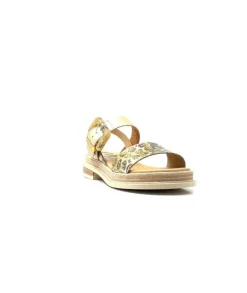 Mkd Delice 1 Cuir Dore Leo